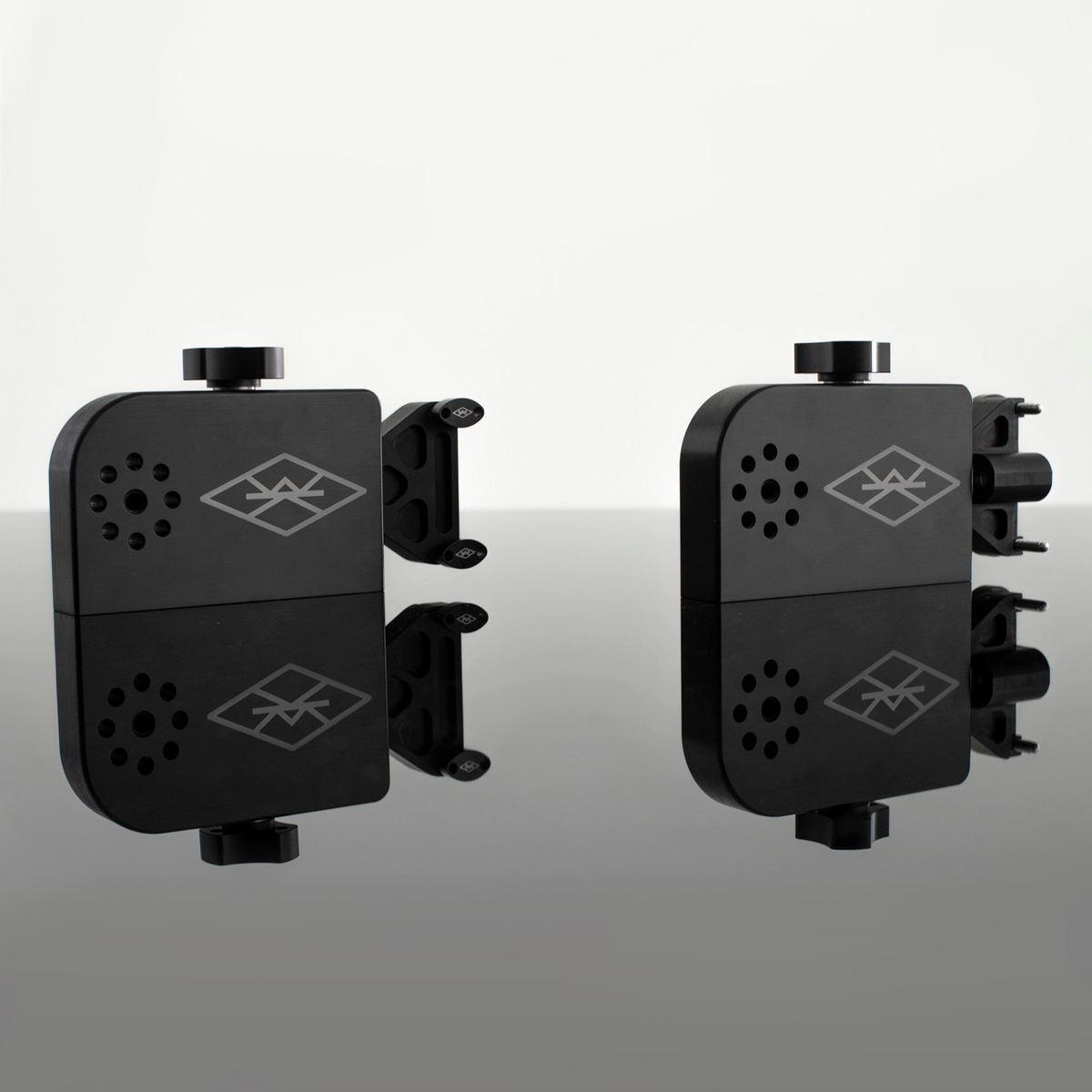 Two hard mounts/Garfield mounts/vehicle mounts one in Goofy (left) and Regular (right) configurations